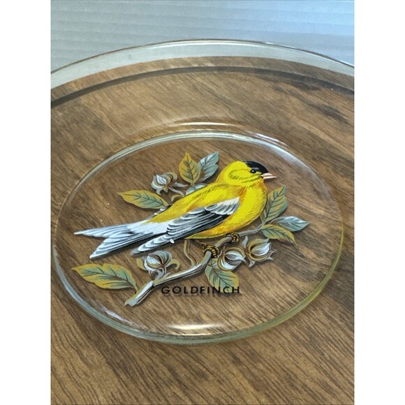 Birds painted On Clear Glass Plates Robin Goldfinch Blue Jay Tufted Titmouse - Picture 7 of 15